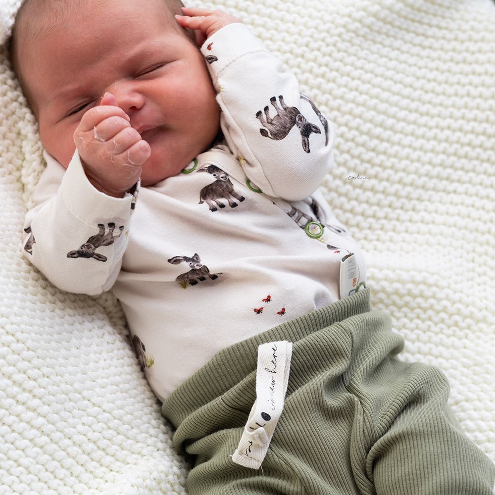 Fridolin der Freundliche hell (Esel) | Jersey & French Terry (BIO)