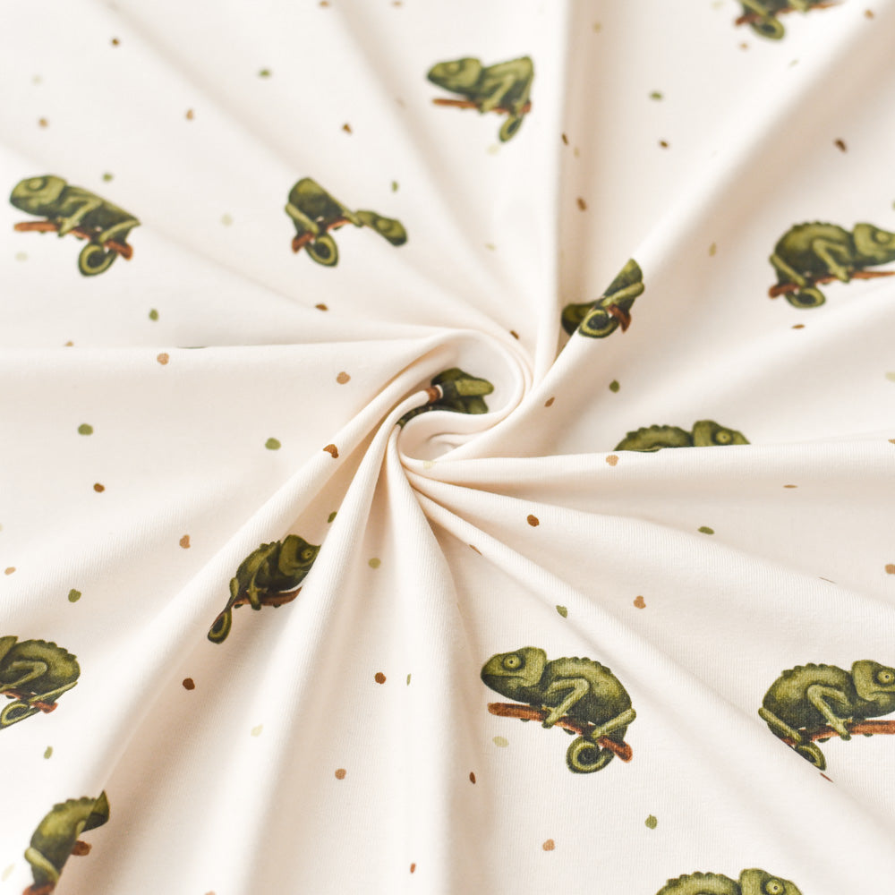 Karla die Kunterbunte hell (Chamäleon) | Jersey & French Terry (BIO)