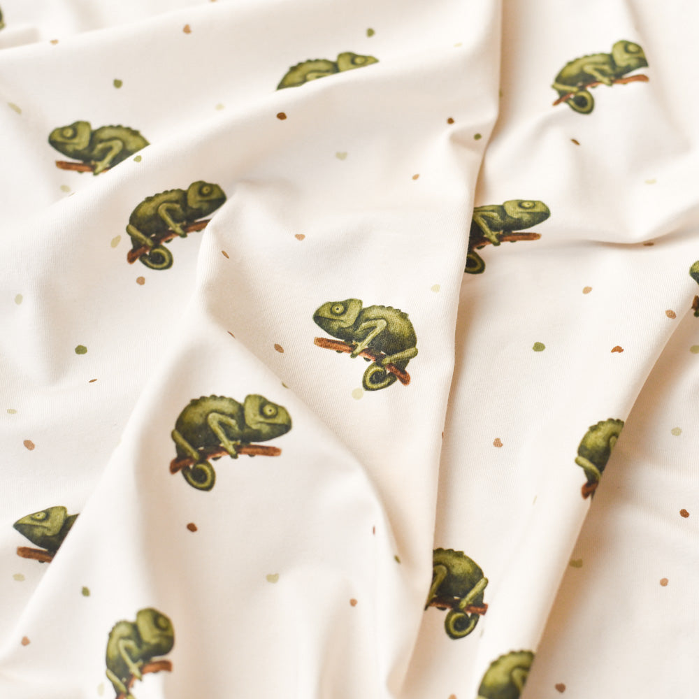 Karla die Kunterbunte hell (Chamäleon) | Jersey & French Terry (BIO)