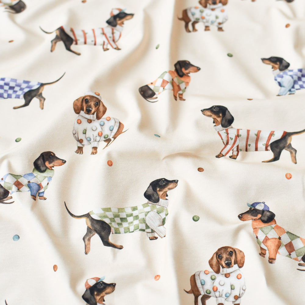 Knöpfchen und die Kuschelcrew (Dackel) | Jersey & French Terry (BIO)