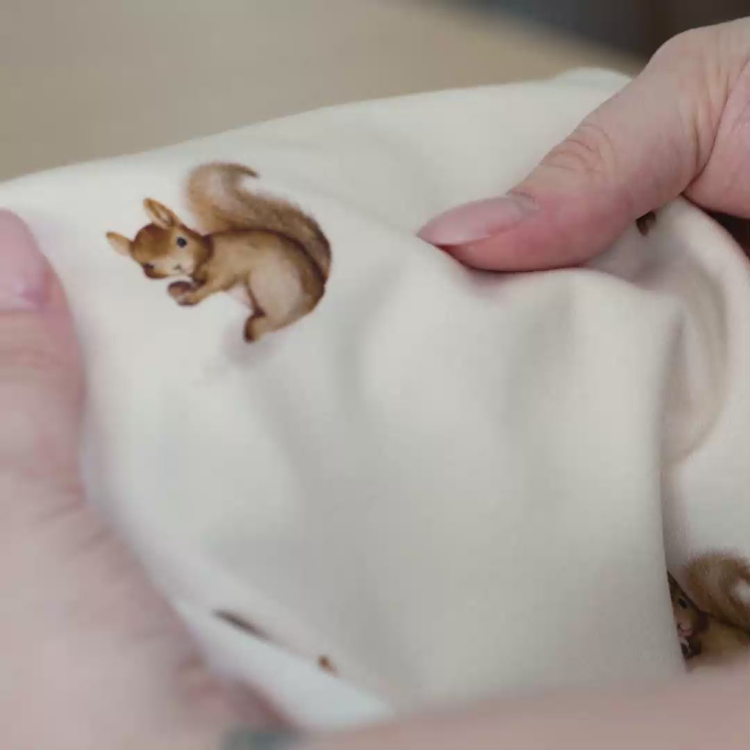 Ecki der Eicheldieb hell (Eichhörnchen) | Jersey & French Terry (BIO)