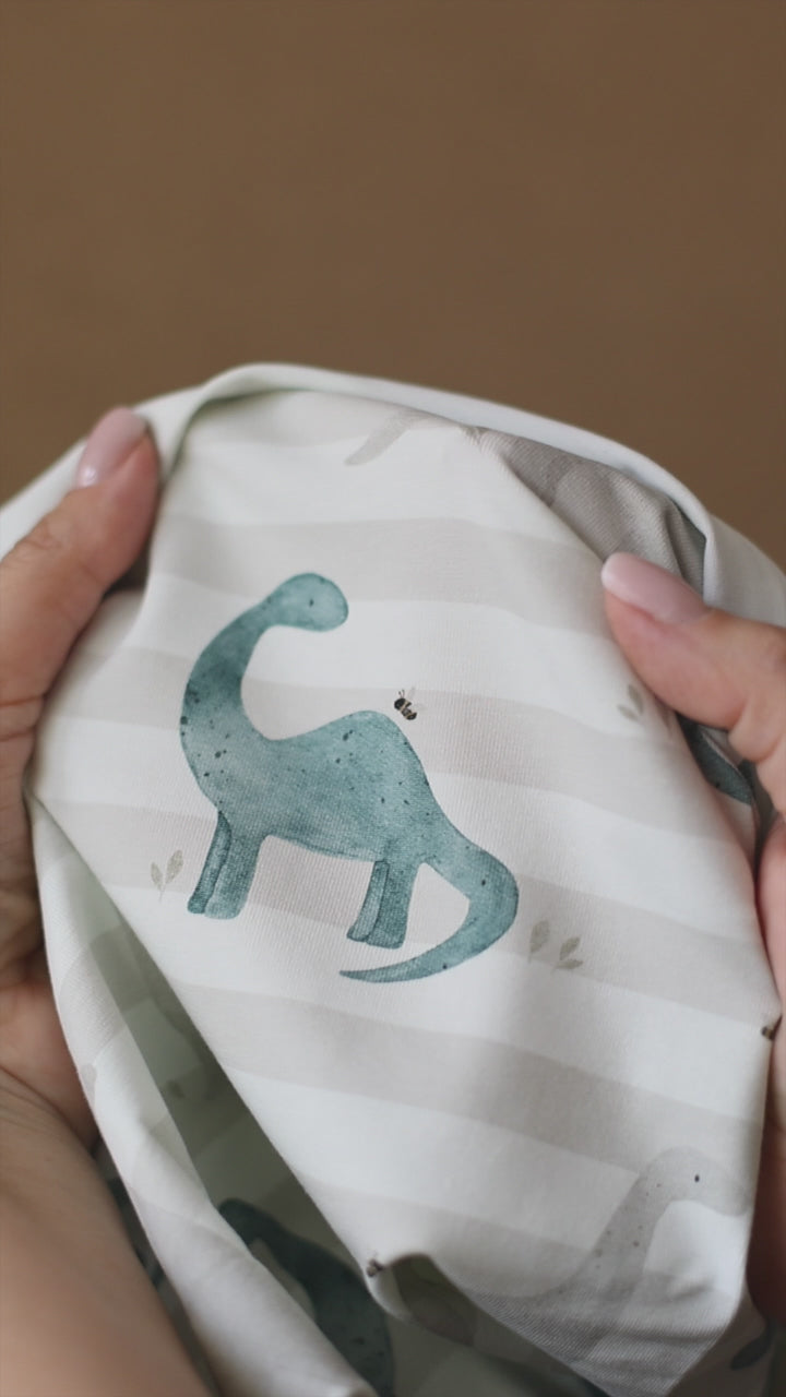 Roartastisch (Dino) | Jersey & French Terry (BIO)