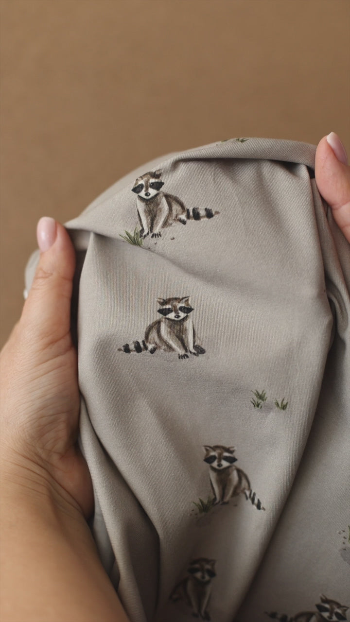 Pauli der Putzige dunkel (Waschbär) | Jersey & French Terry (BIO)