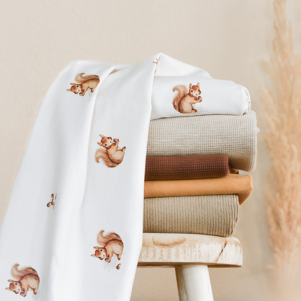 Ecki der Eicheldieb hell (Eichhörnchen) | Jersey & French Terry (BIO)