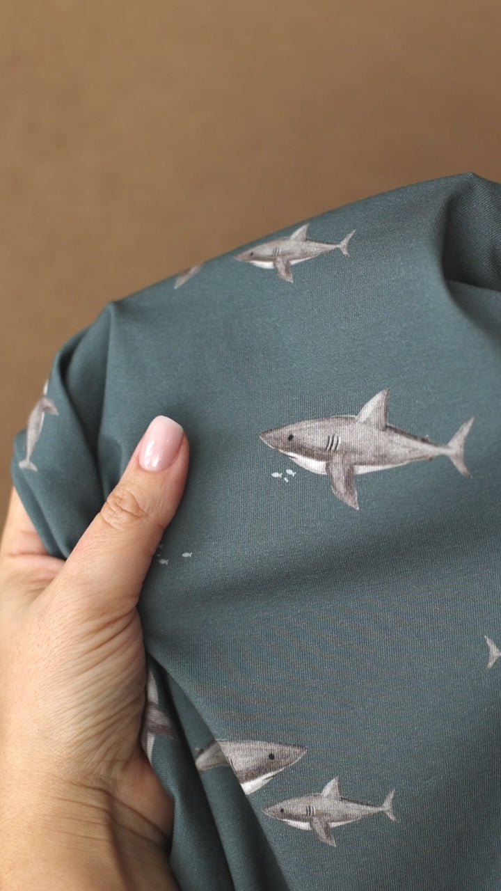 Herbert der Hungrige dunkel (Hai) | Jersey & French Terry (BIO)