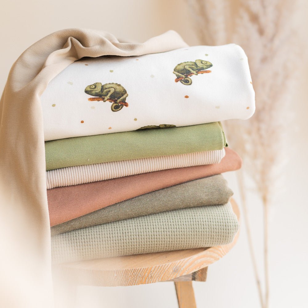 Karla die Kunterbunte hell (Chamäleon) | Jersey & French Terry (BIO)