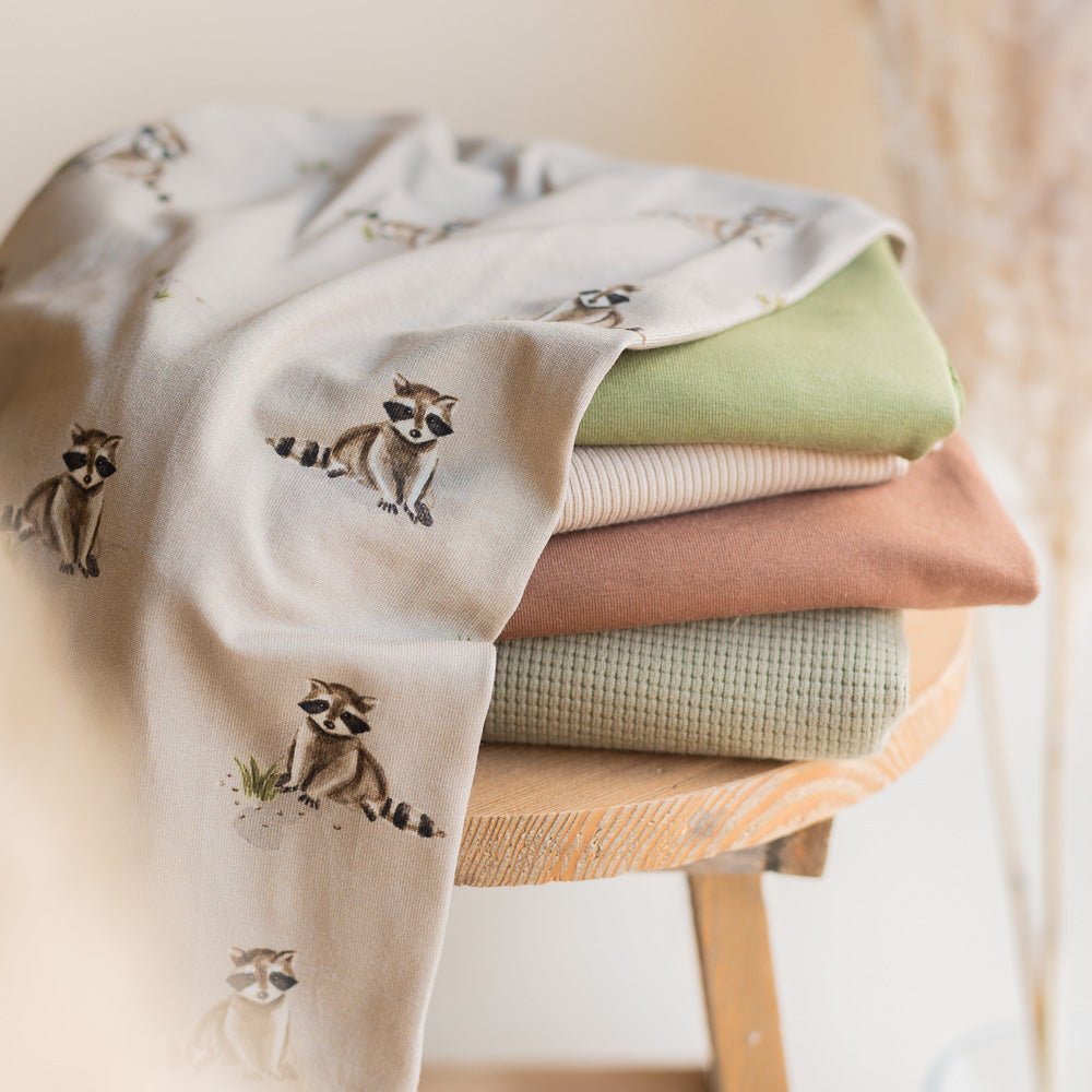 Pauli der Putzige dunkel (Waschbär) | Jersey & French Terry (BIO)