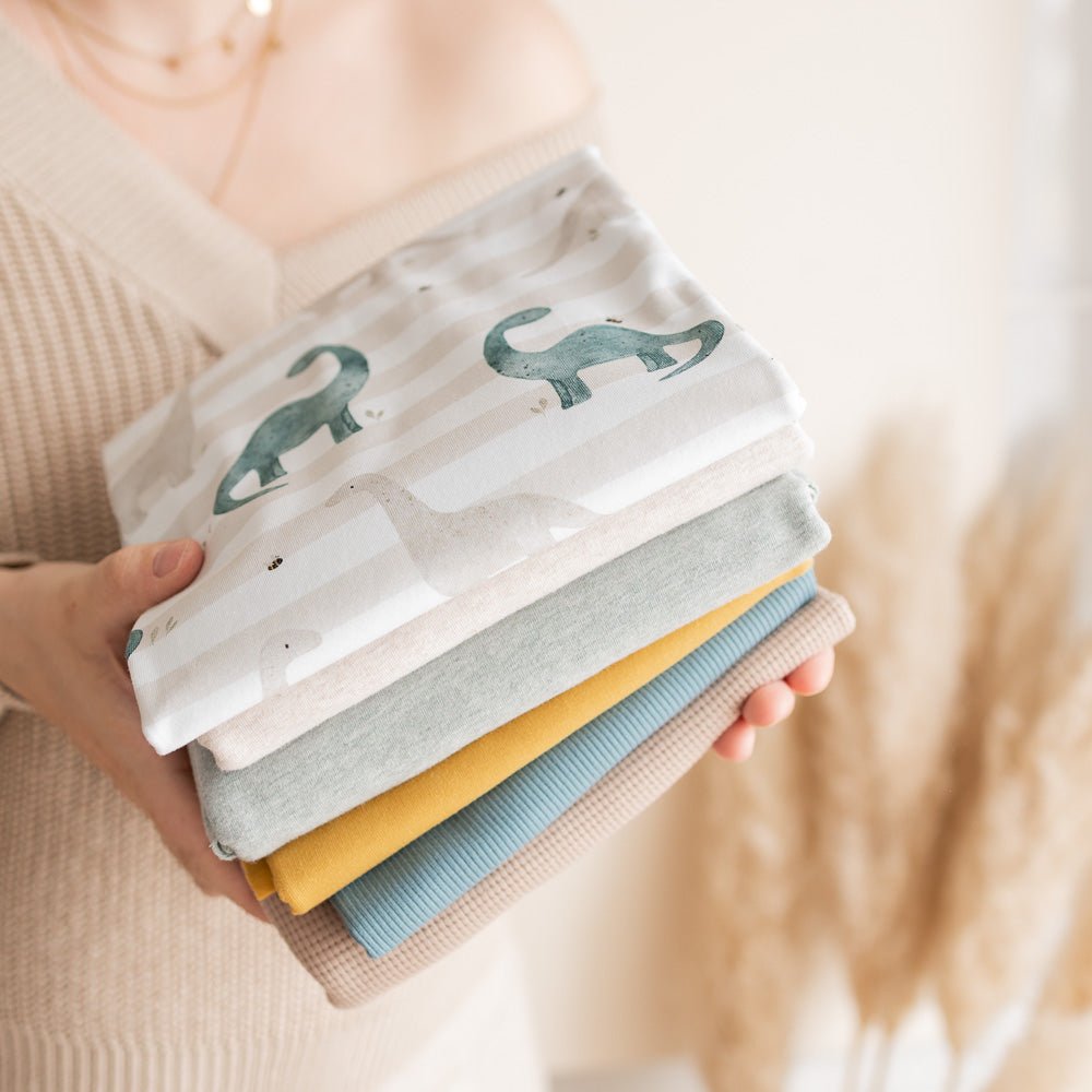 Roartastisch (Dino) | Jersey & French Terry (BIO)