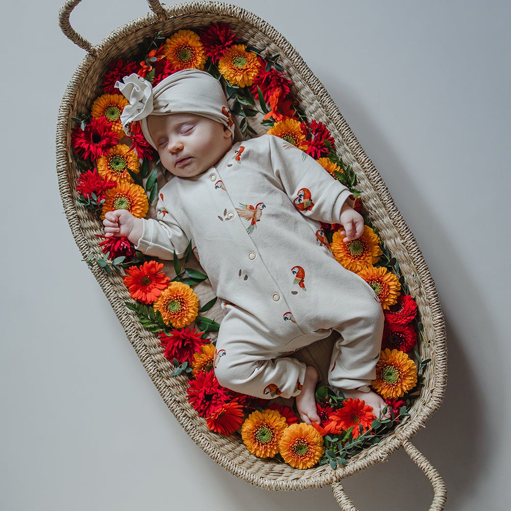 Piet Plapperschnabel hell (Papagei) | Jersey  &  French Terry (BIO)