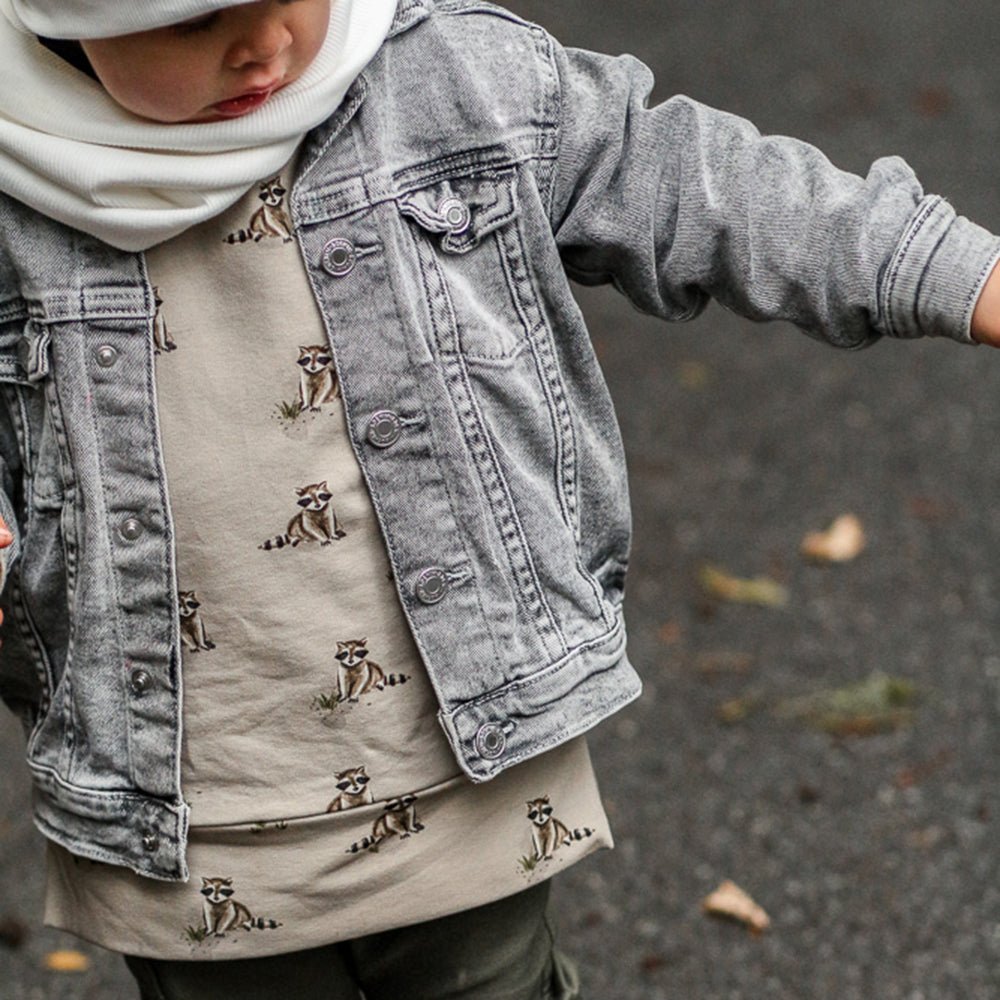 Pauli der Putzige dunkel (Waschbär) | Jersey & French Terry (BIO)