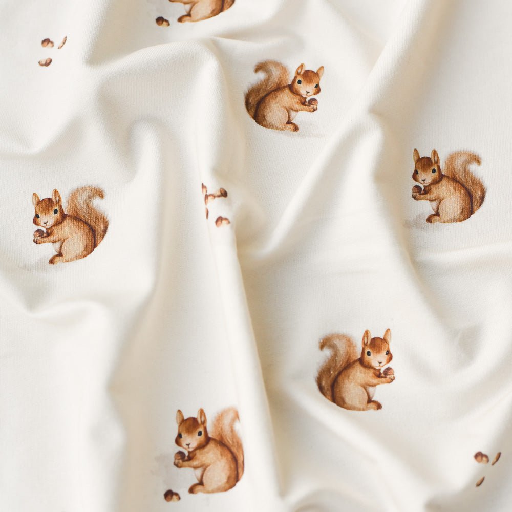 Ecki der Eicheldieb hell (Eichhörnchen) | Jersey & French Terry (BIO)