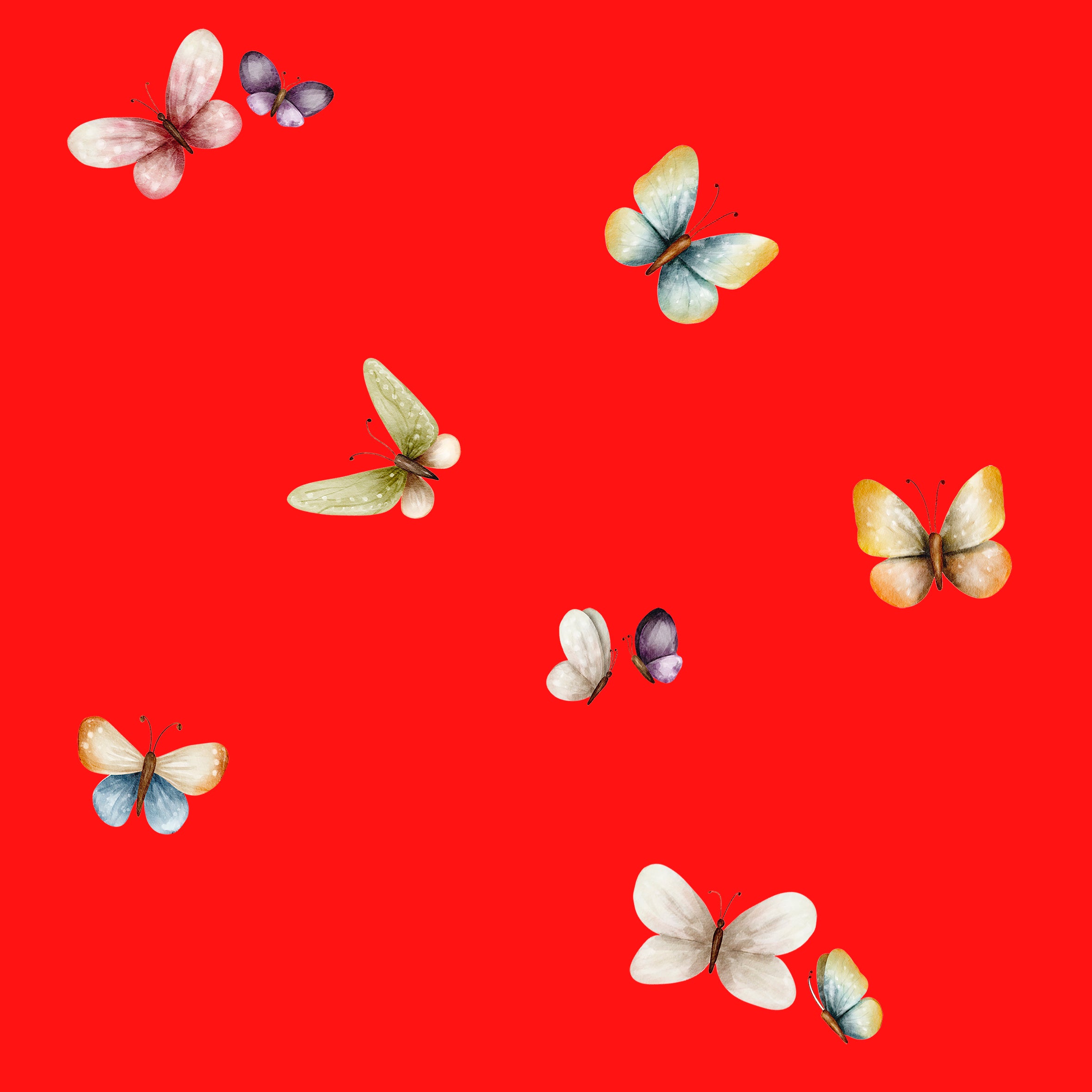 NEON | UV Bade-Lycra Vorbestellung