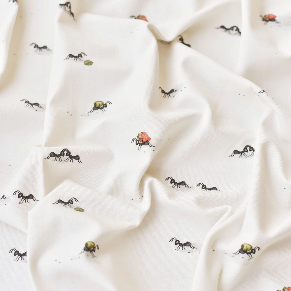 Früchtetransport (Ameise) | Jersey  &  French Terry (BIO)