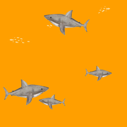 NEON | UV Bade-Lycra Vorbestellung