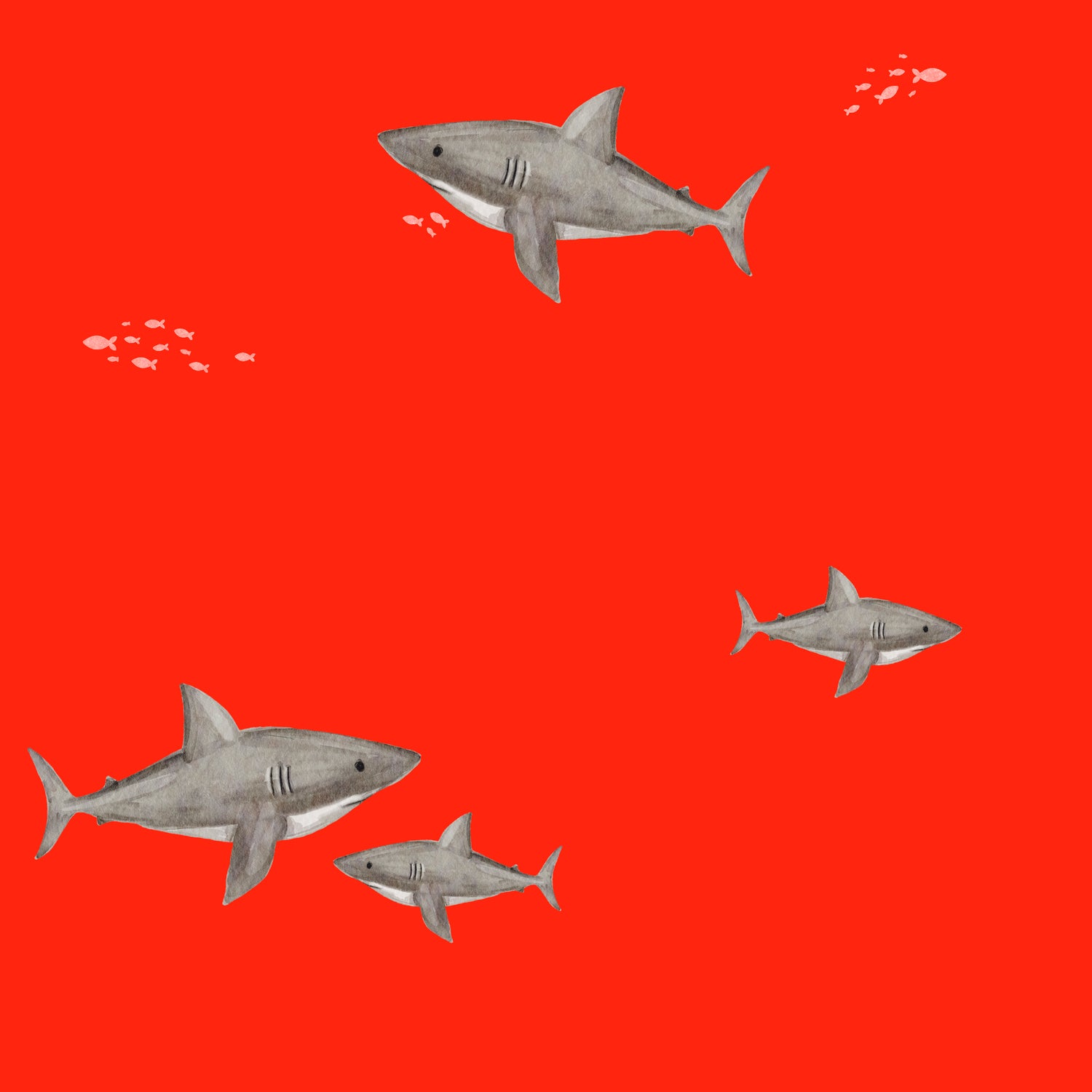 NEON | UV Bade-Lycra Vorbestellung