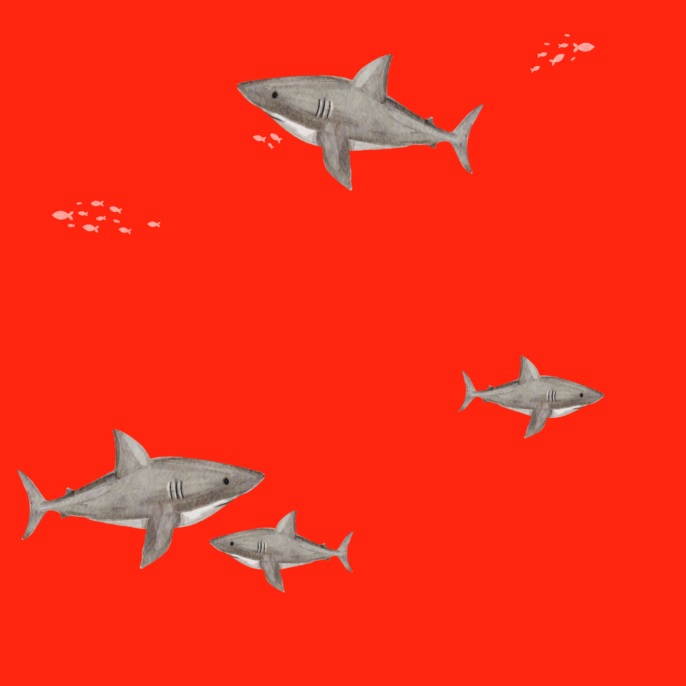 NEON | UV Bade-Lycra Vorbestellung