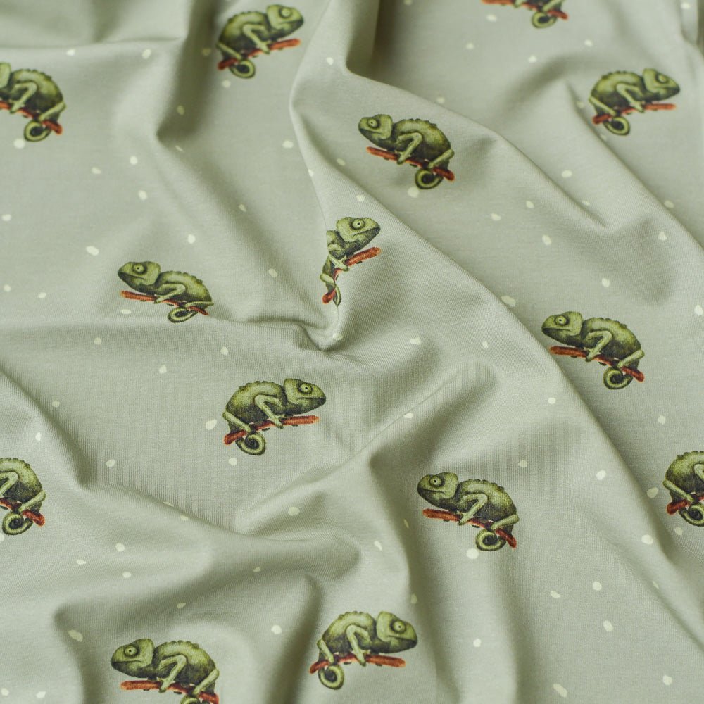 Karla die Kunterbunte dunkel (Chamäleon) |  Jersey & French Terry (BIO)