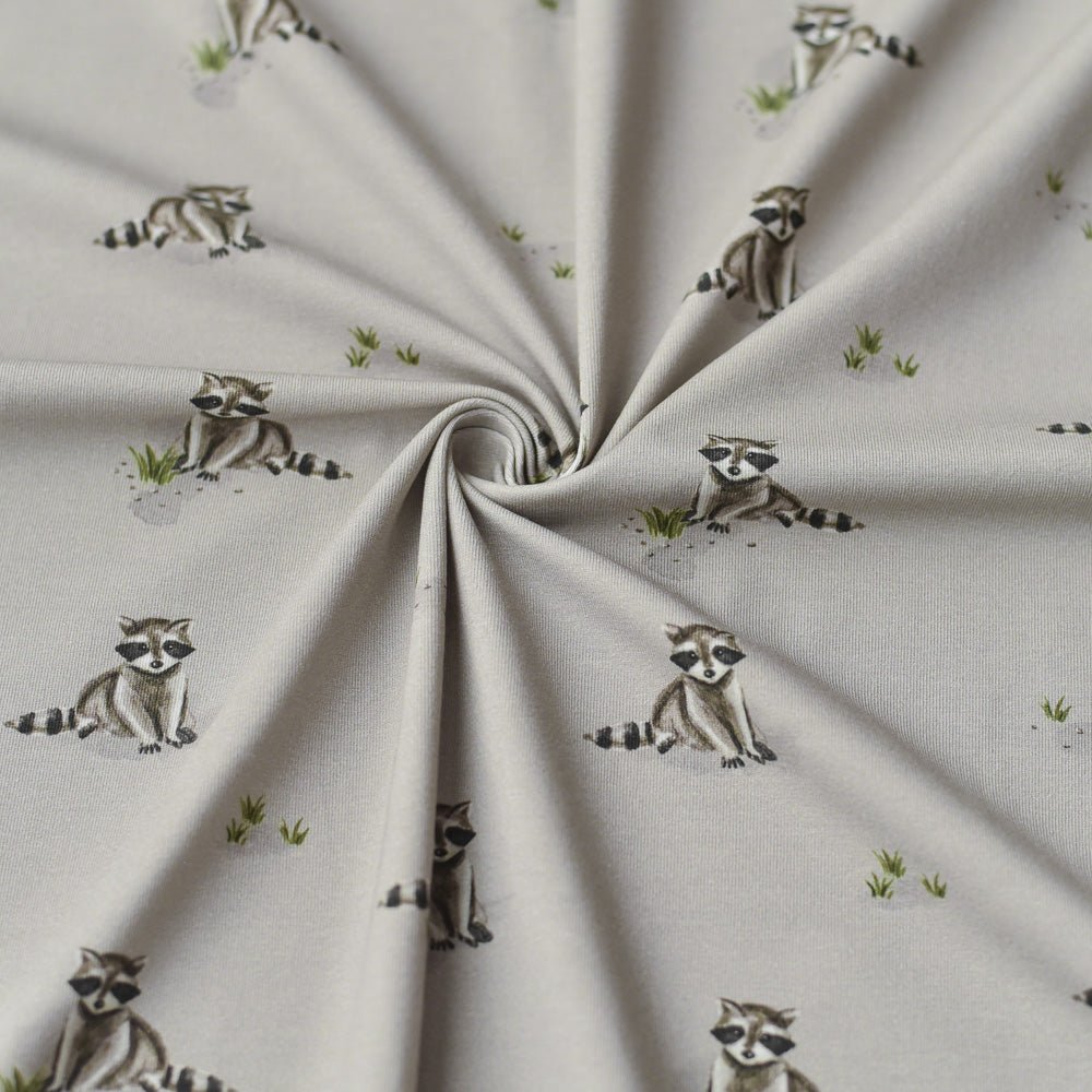 Pauli der Putzige dunkel (Waschbär) | Jersey & French Terry (BIO)