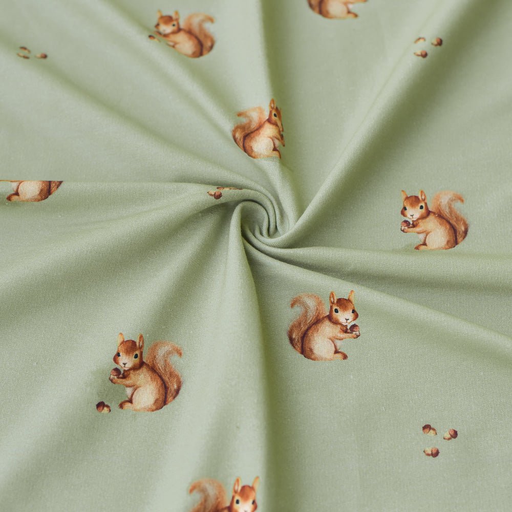 Ecki der Eicheldieb dunkel (Eichhörnchen) | Jersey & French Terry (BIO)