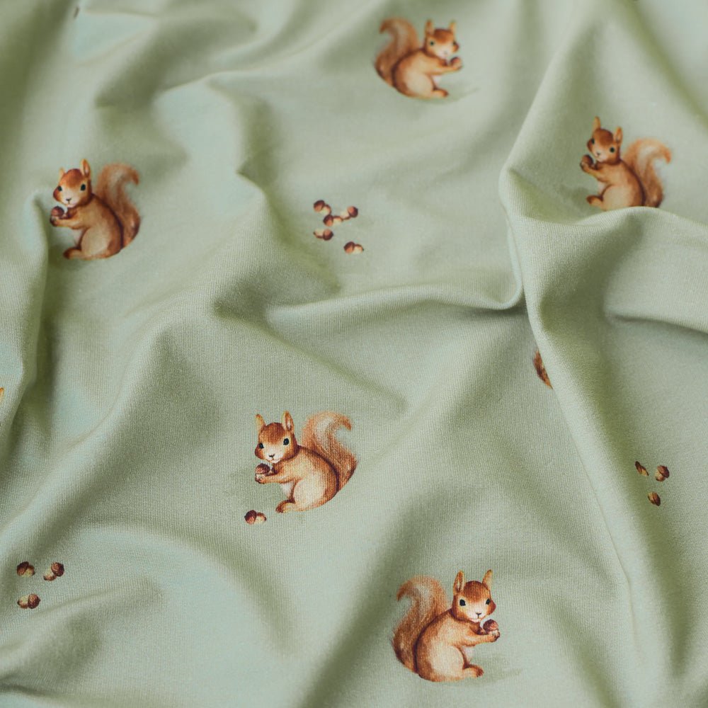 Ecki der Eicheldieb dunkel (Eichhörnchen) | Jersey & French Terry (BIO)